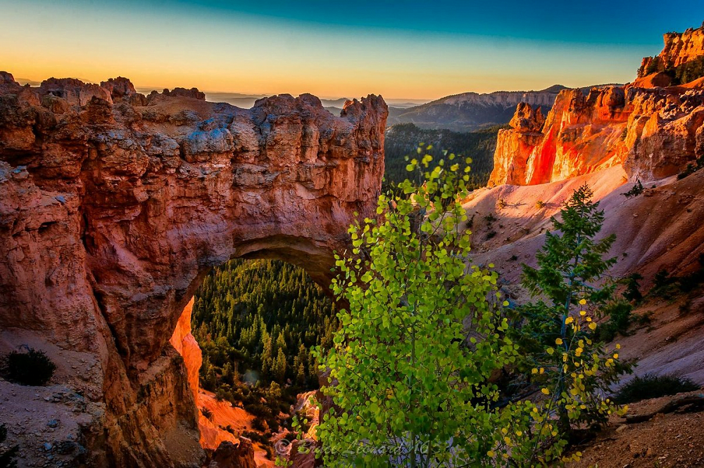 14 Most Beautiful Places To Visit In Utah 2023 2024 Pustly Com   Image 693 