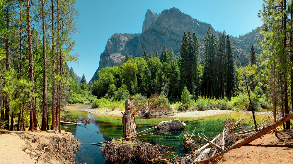 9 Best National Parks In California USA To Visit In 2023 2024 Pustly Com   Image 12 